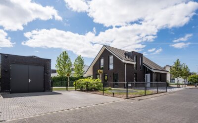 Vijfvingerkruid 16