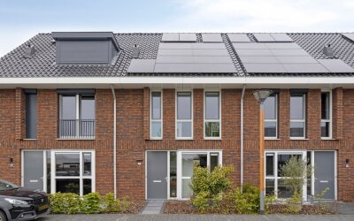 Zonnebloem 47