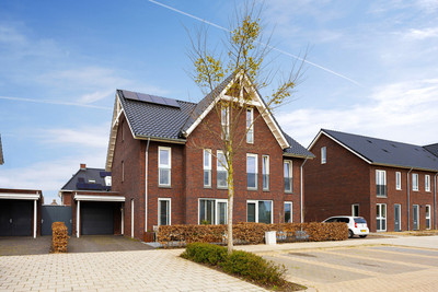Schutsboom 20