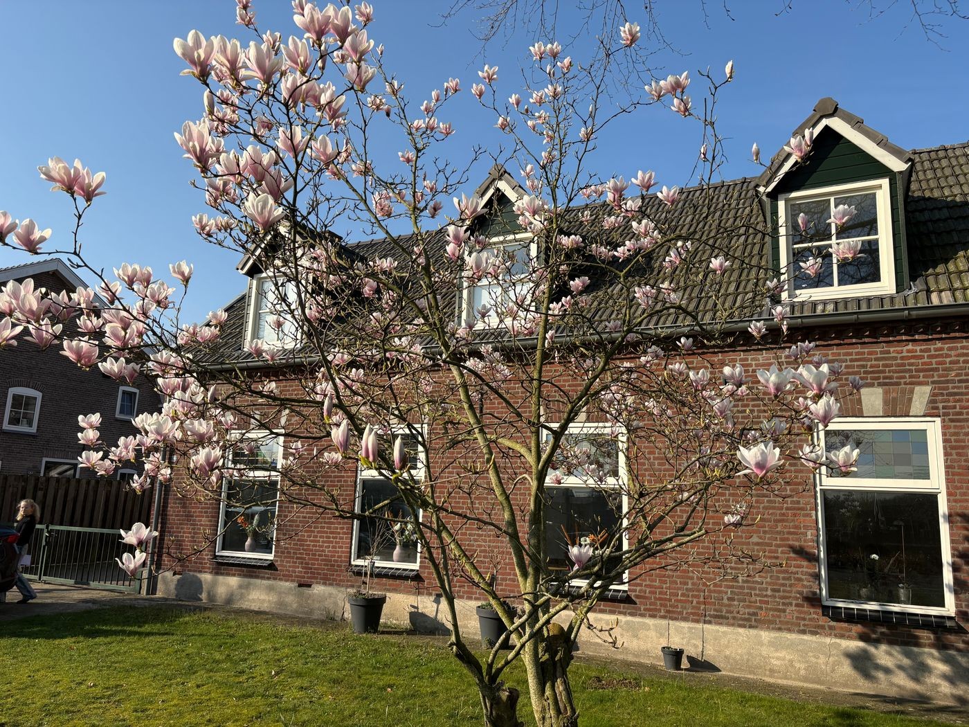 Vrijstaande woning te koop: Pastoor van Winkelstraat 63, Schaijk