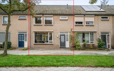 Bosveld 405