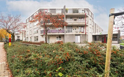 Hoogzoggel 80