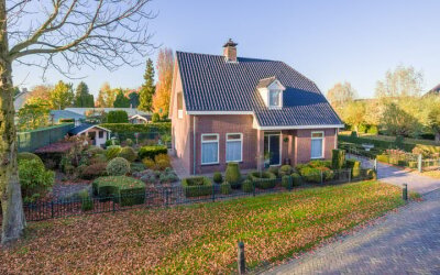 Vederdistel 1