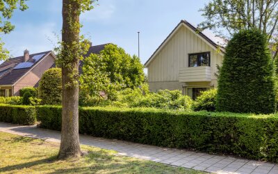 Vondellaan 117