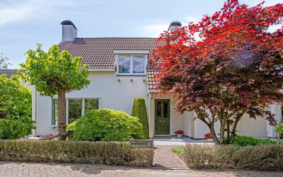 Hezelaar 35