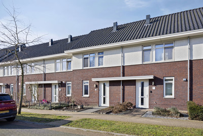 Kattestart 11