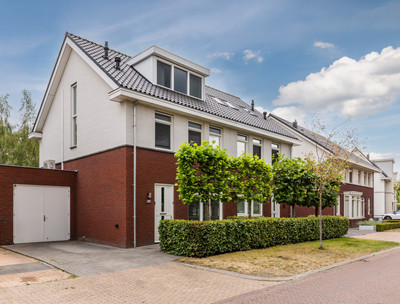 Kattestart 8