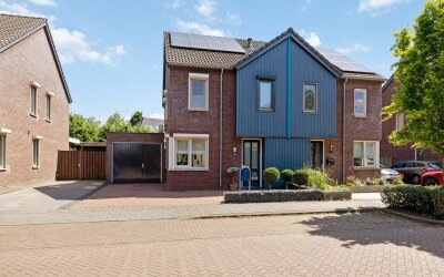 Paardebloem 16