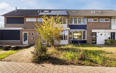 Korhoenderveld 157