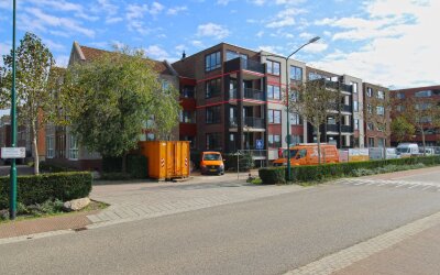 Lavendel 442