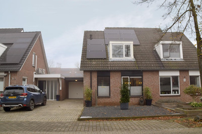 Kleefkruid 48