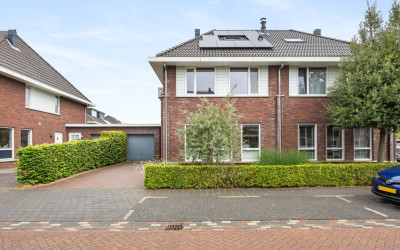 Zilveresdoorn 19
