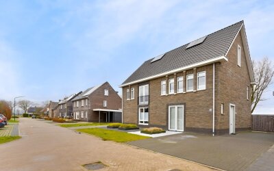 Dotterbloem. 17