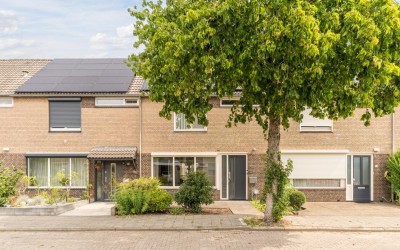 Wolgastraat 24