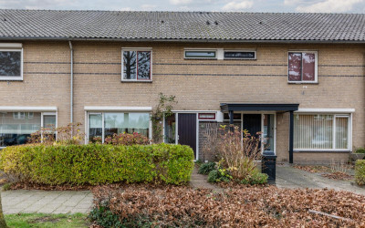 De Ruijters. 11
