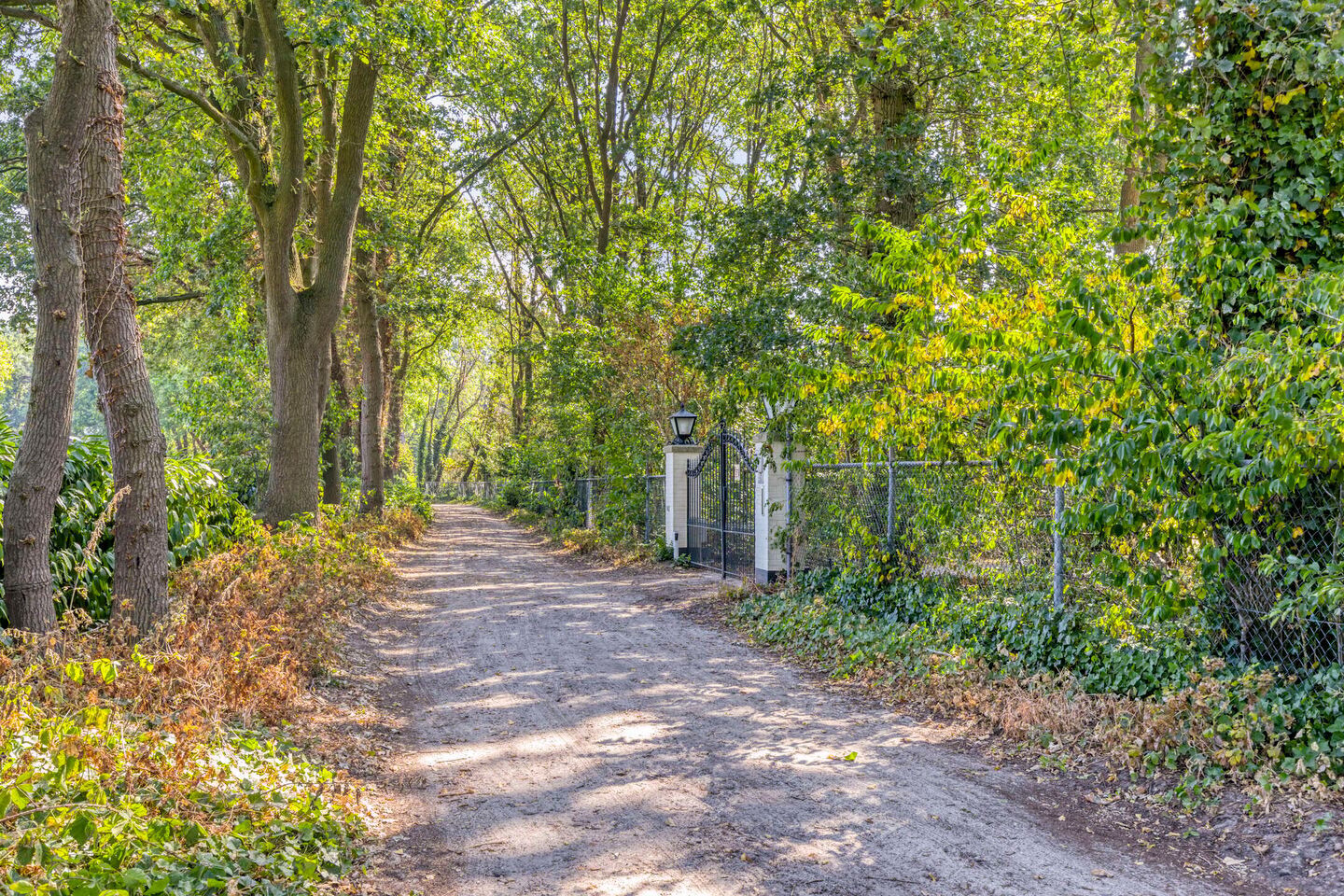 Vrijstaande woning te koop: De Coevering 4, Veghel