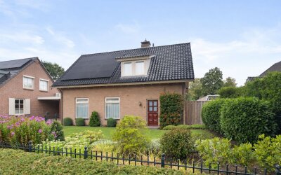 Boekweitveld 3