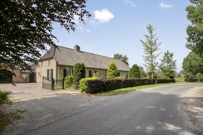 Hulst 11