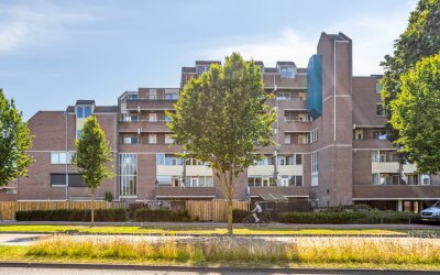 Braak 86