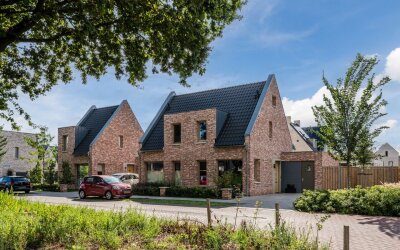 Zilverschoon 38