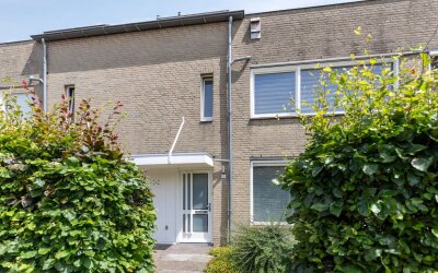 De Vleeshouwer 3