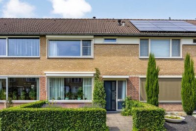 De Steenzager 17