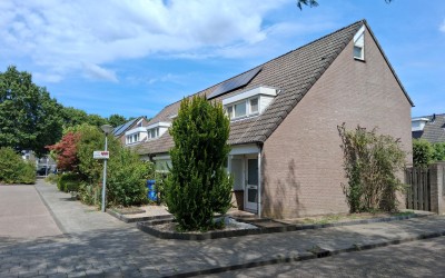 Ekster 29