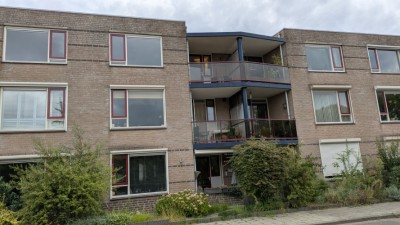 Lunet 31