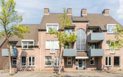 Schapendries 49