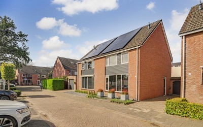 Schutsboom 4