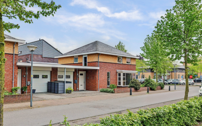 Roodborstje 1