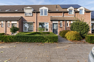 Boekweitbeemd 4