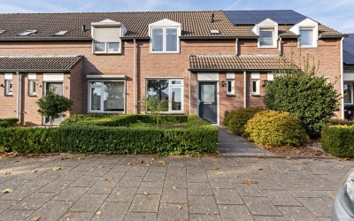 Boekweitbeemd 4
