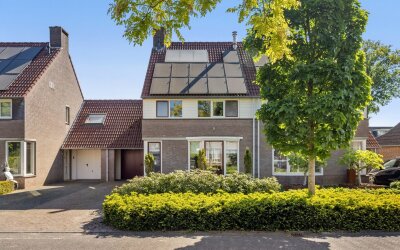 De Hasselt 5
