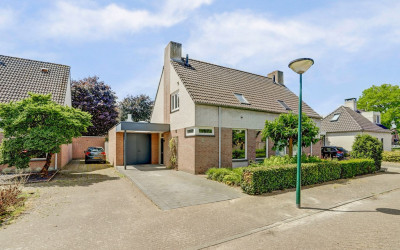 Gentiaan 6