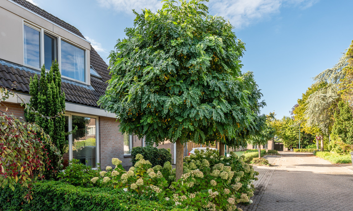 Twee-onder-één-kap te koop: de Groote Aa 2, Heeze