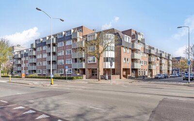 P Czn Hooft. 93