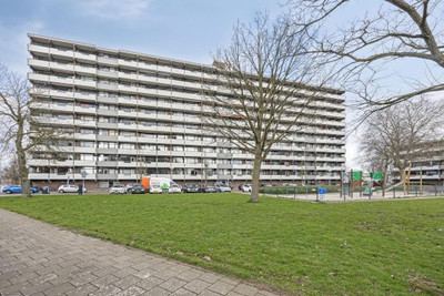 Graaf Adolf. 36
