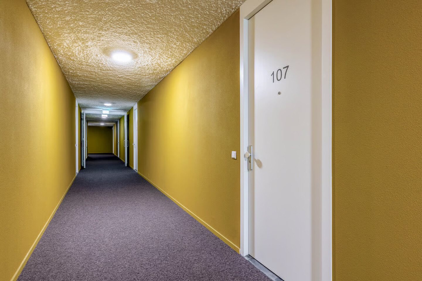 Appartement te koop: Otterstraat 107, Eindhoven