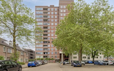 de Greide 81