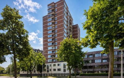 de Greide 85