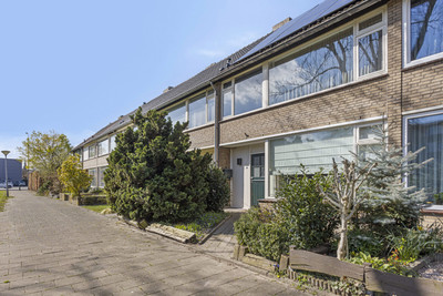 Pisanostraat 71