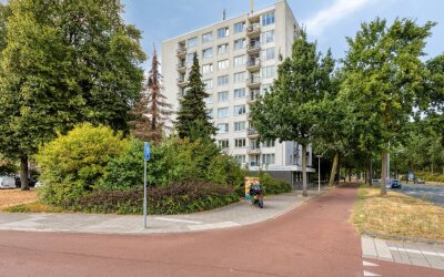 Pisanostraat 58