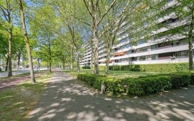 Amundsenlaan 243