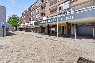 Franklin D Rooseveltlaan 197