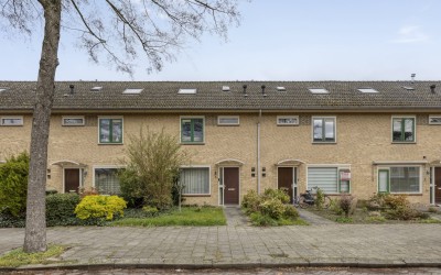 Covelakker 8
