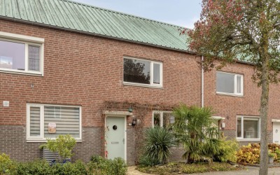 Gelaarsde Kat 17