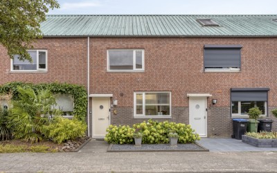Gelaarsde Kat 19