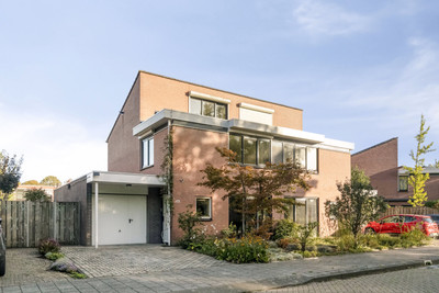 Koningskinderen 32