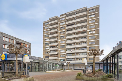Wijngaardpl. 21